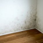 DryNow Water Damage