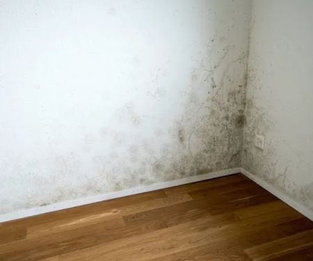 DryNow Water Damage