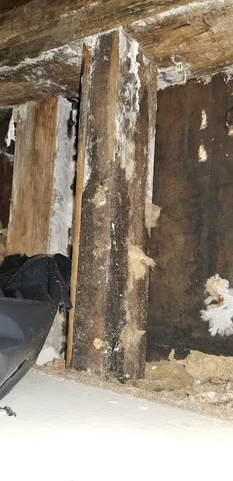 All-American Mold Remediation and Consulting, LLC. Picture 9