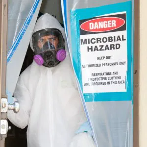 All-American Mold Remediation and Consulting, LLC. Picture 4