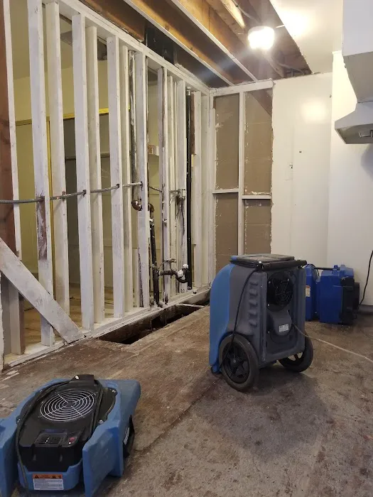 All-American Mold Remediation and Consulting, LLC. Picture 2