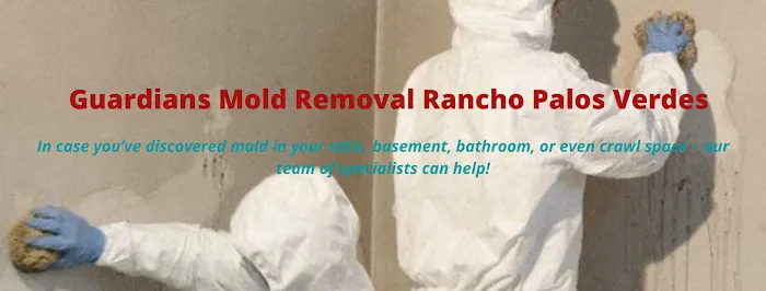 Guardians Mold Removal Rancho Palos Verdes Picture 10