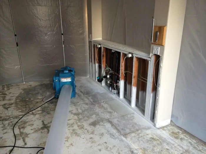 Guardians Mold Removal Rancho Palos Verdes Picture 5