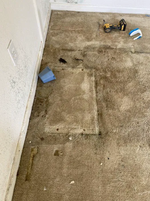 Guardians Mold Removal Rancho Palos Verdes Picture 9