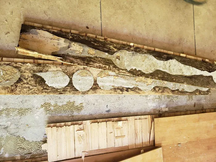 Guardians Mold Removal Rancho Palos Verdes Picture 7