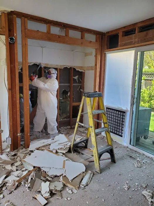 Guardians Mold Removal Rancho Palos Verdes Picture 6