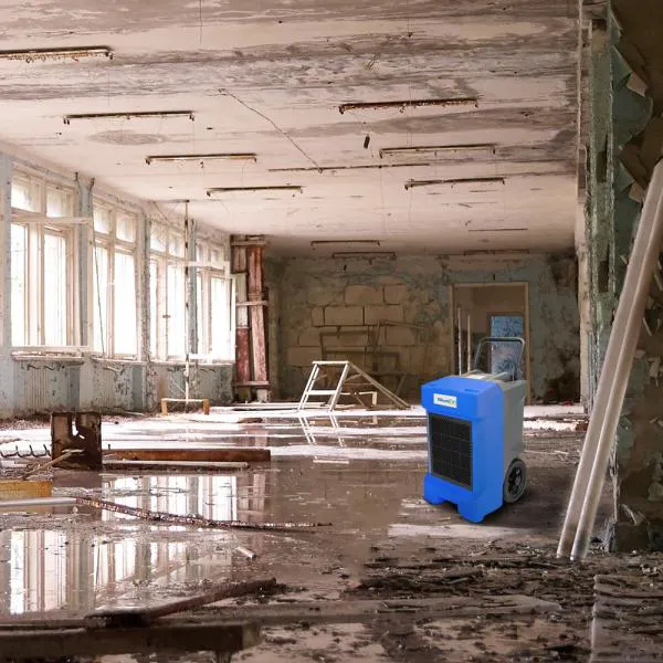 TipTop Water Damage Huntington Beach Picture 2