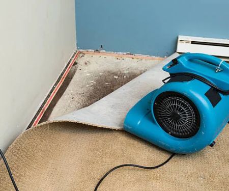 Reliable Huntington Beach Water Damage Restoration Pros