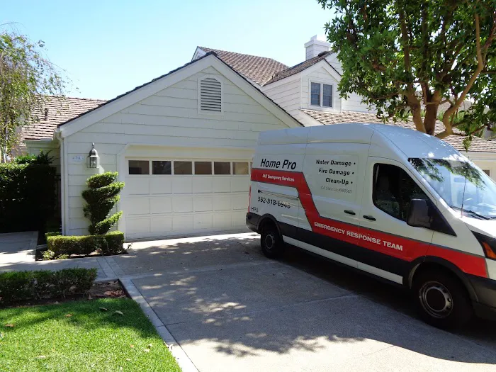 Home Pro Mold Services Picture 2