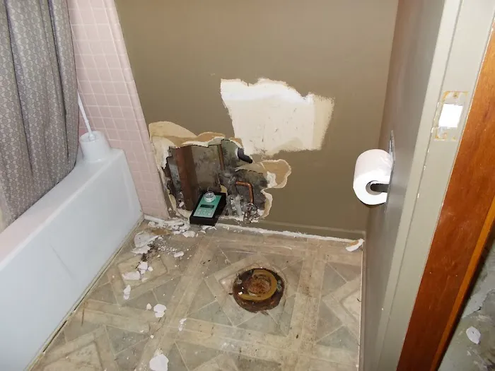 Home Pro Mold Services Picture 3