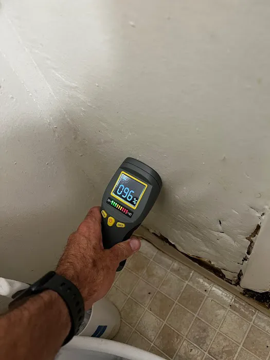 Home Pro Mold Services Picture 1