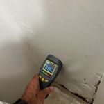 Home Pro Mold Services