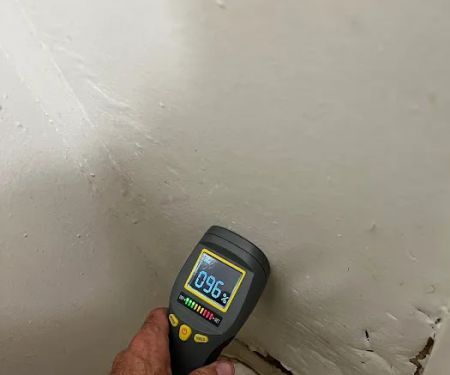 Home Pro Mold Services