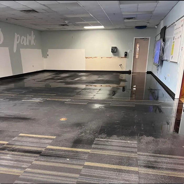 5Star Damage Restoration Orange Picture 9