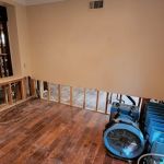 Orange Coast Restore