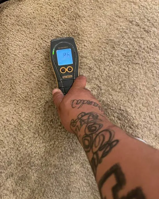 JGB Restoration Picture 6