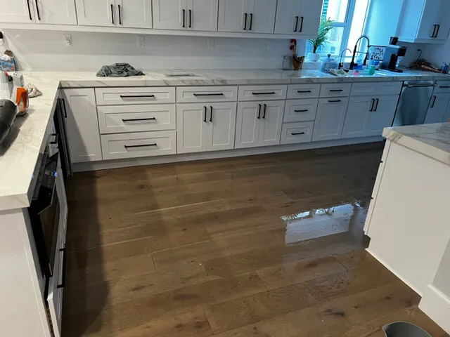 AquaPros Restoration Picture 3