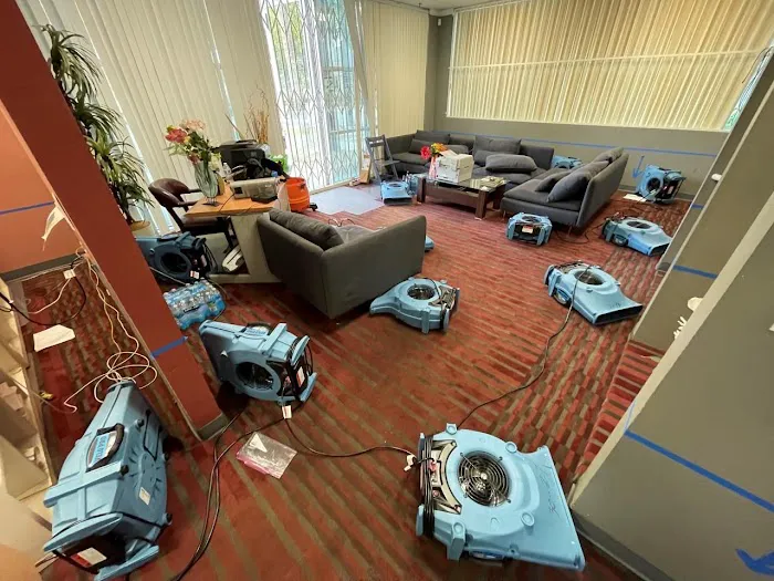 Blue Arrow Picture 2