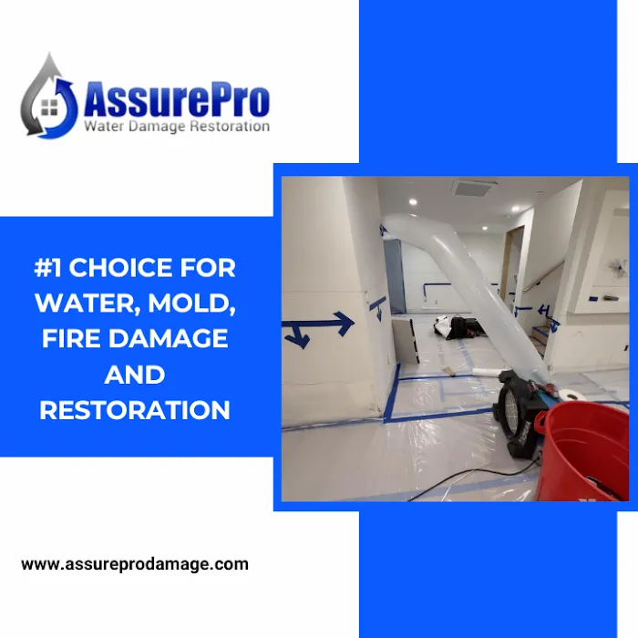 AssurePro Water Picture 9