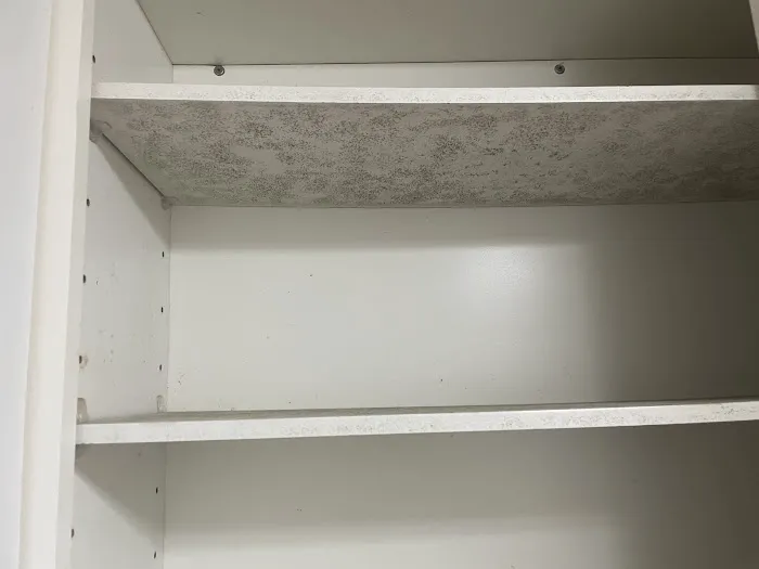 PuroClean of Pomona Picture 7