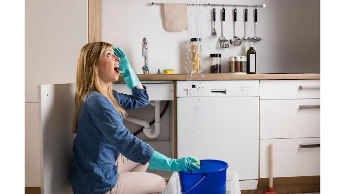 Water Damage Zone And Restoration Picture 3