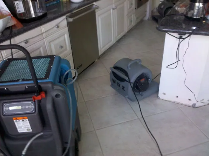 Water Damage Zone And Restoration Picture 1