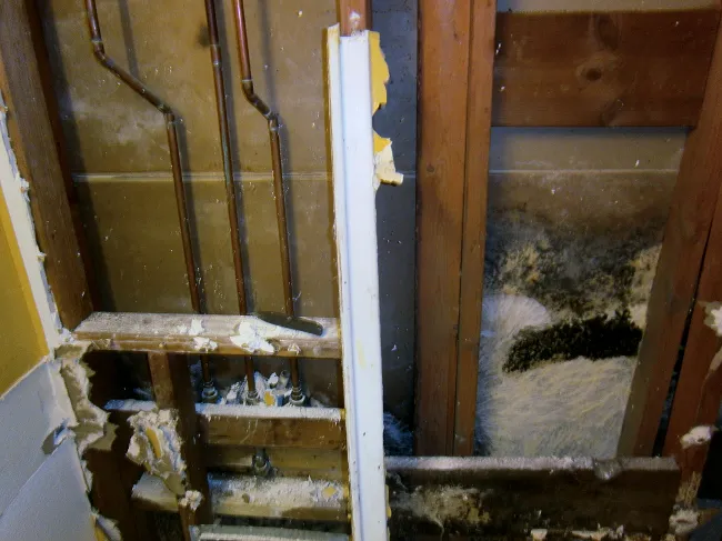 Water Damage Zone And Restoration Picture 10