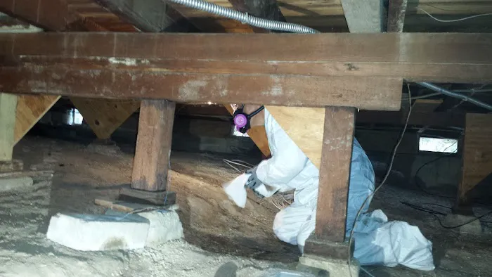 Go Green Restoration Los Angeles Picture 10