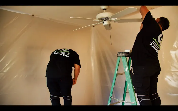 Go Green Restoration Los Angeles Picture 6