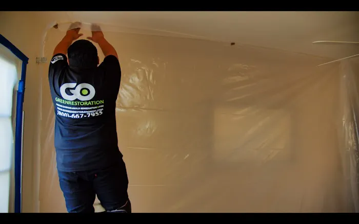 Go Green Restoration Los Angeles Picture 8