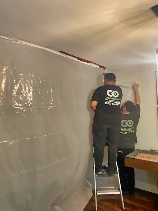 Go Green Restoration Los Angeles Picture 4