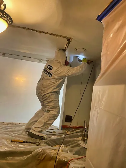 Go Green Restoration Los Angeles Picture 9