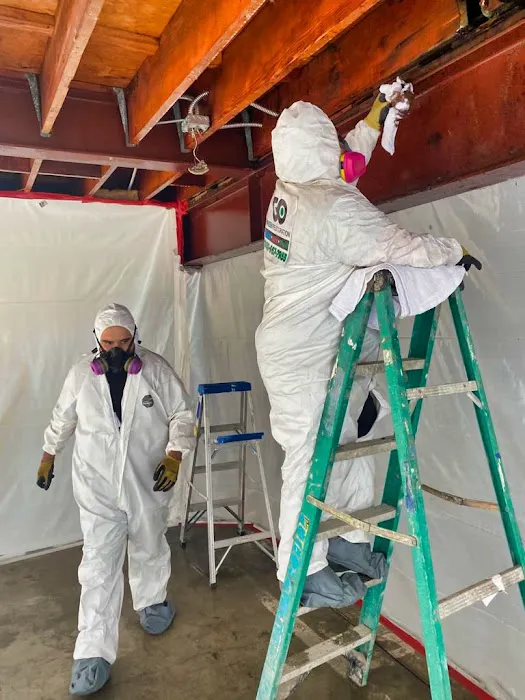 Go Green Restoration Los Angeles Picture 3