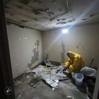 Go Green Restoration Los Angeles ico