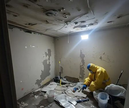 Go Green Restoration Los Angeles