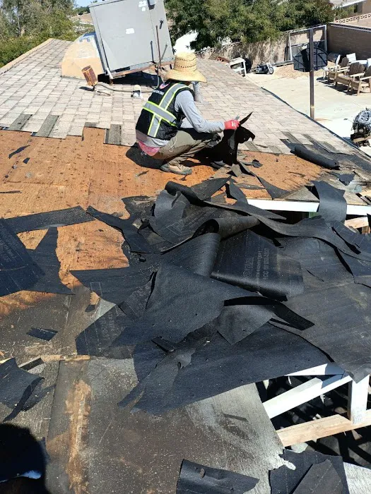 DryCare Restoration Inc Picture 5