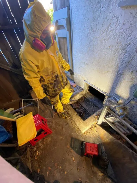 DryCare Restoration Inc Picture 4