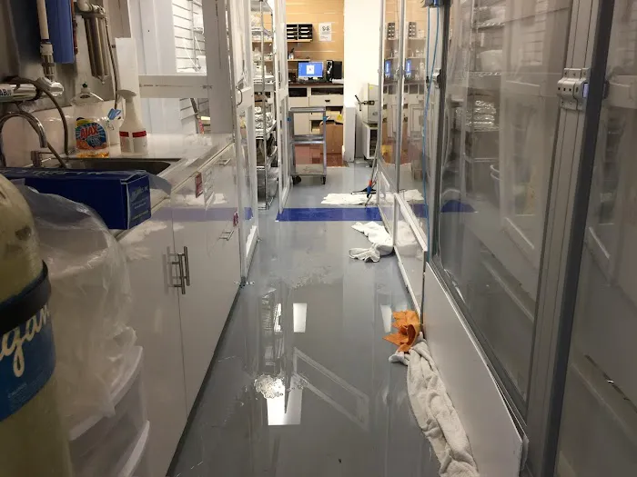 Projekt Restoration CA Picture 1