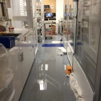 Projekt Restoration CA ico