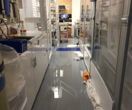 Projekt Restoration CA