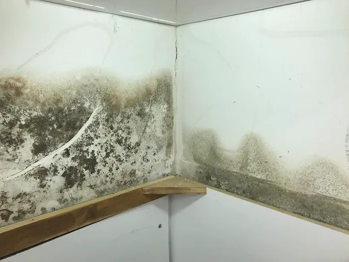 Projekt Restoration CA Picture 9