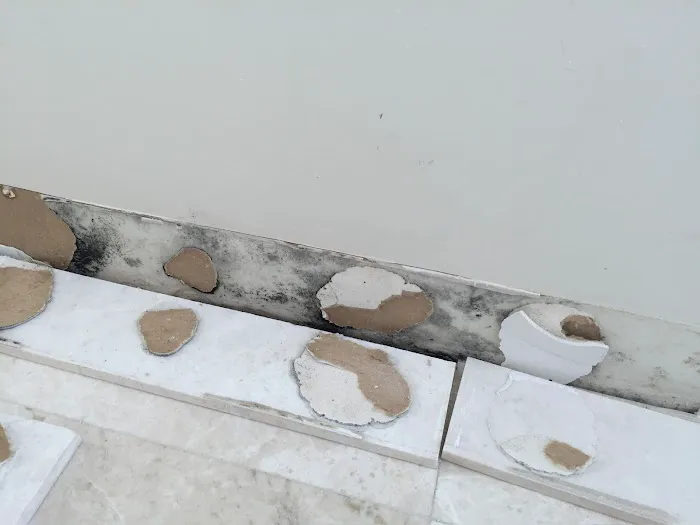 Projekt Restoration CA Picture 8