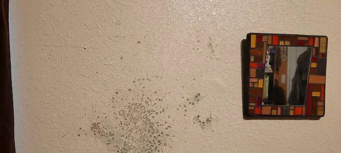 Hydro Hero Restoration Picture 5