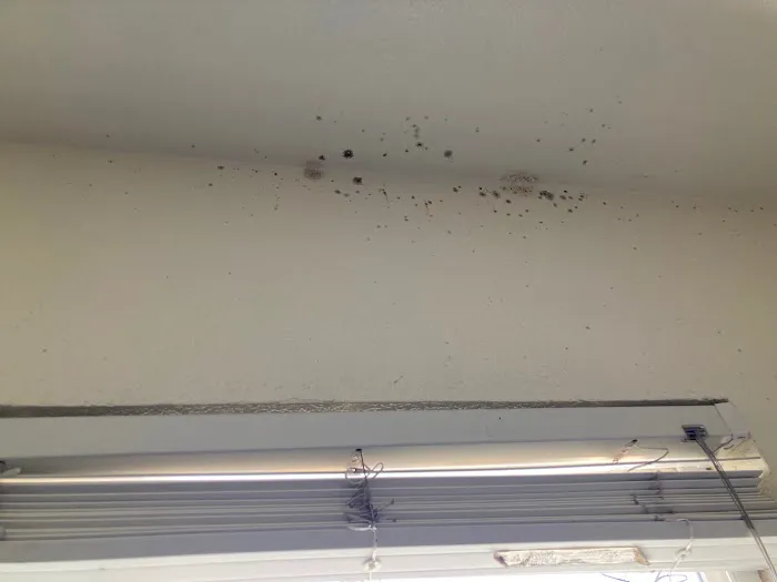 Hydro Hero Restoration Picture 2