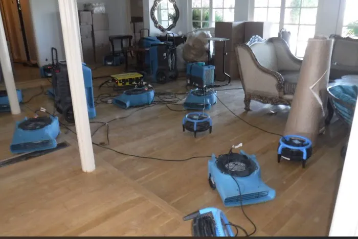 Water Damage Rescue Picture 6