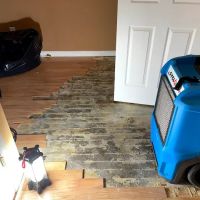 Water Damage Rescue ico