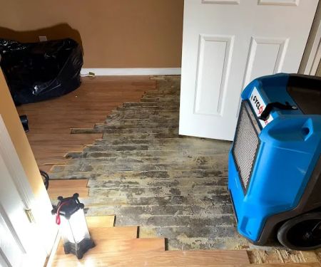 Water Damage Rescue