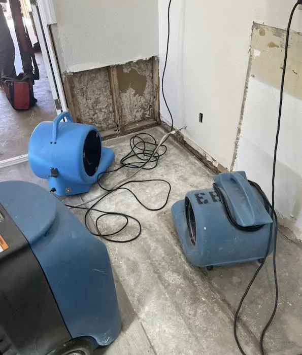 Water Damage Champ Picture 9