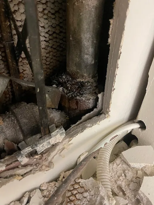 Water Damage Champ Picture 3