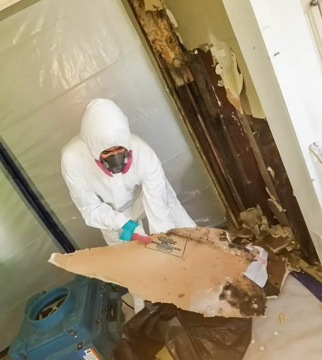 Water Damage Champ Picture 10